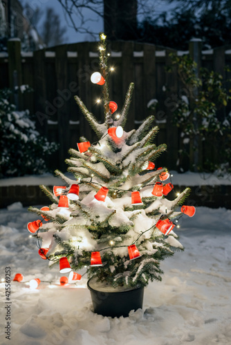 A potted Christmas tree stands in a snowy backyard at night. photo