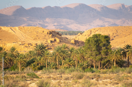 Scenic views of palm tree oasis, old building, mountains and sunsets, from El Gantera, Biskra