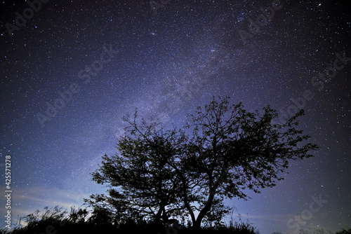 高ボッチ山の星空