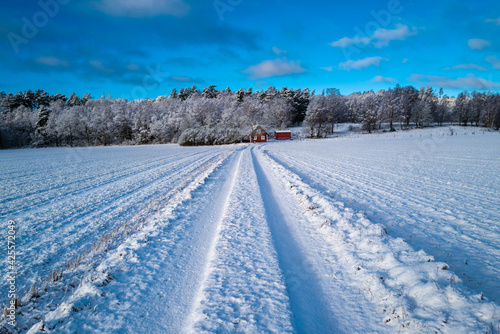 Winter road in Swedish landscape