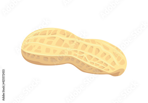 Peanut in shell vector illustration. Groundnut isolated on white background. Cartoon flat style.