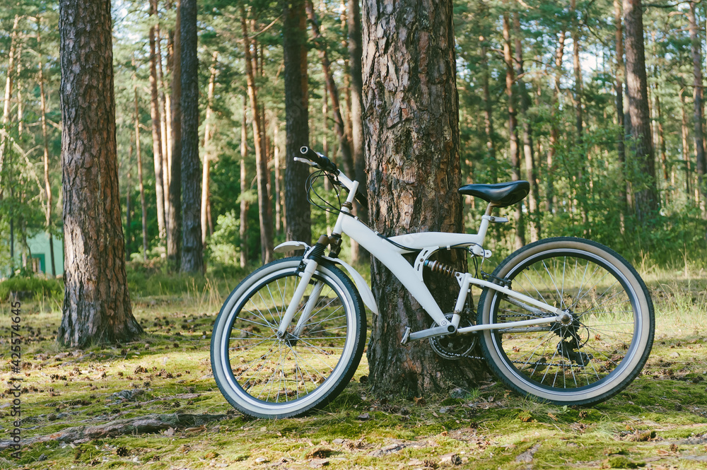 A white mountain bike is parked in the forest near a tree. Against the backdrop of nature.