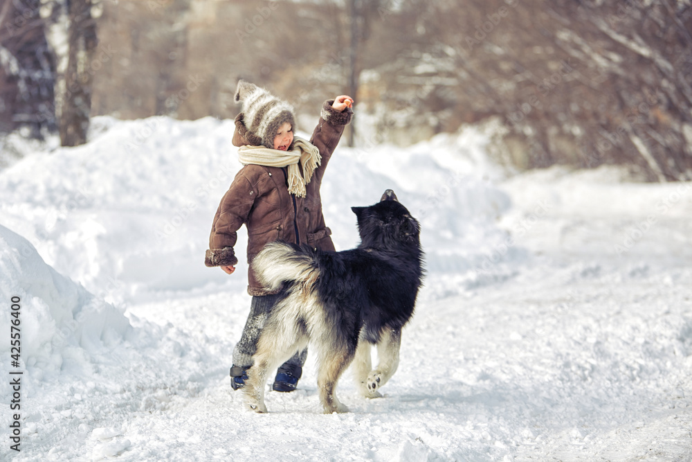 Girl playing with a dog in winter Girl playing with a dog in winter
