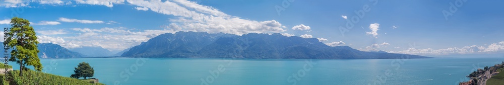 Fototapeta premium Lavaux, vignoble en terrasses - suisse