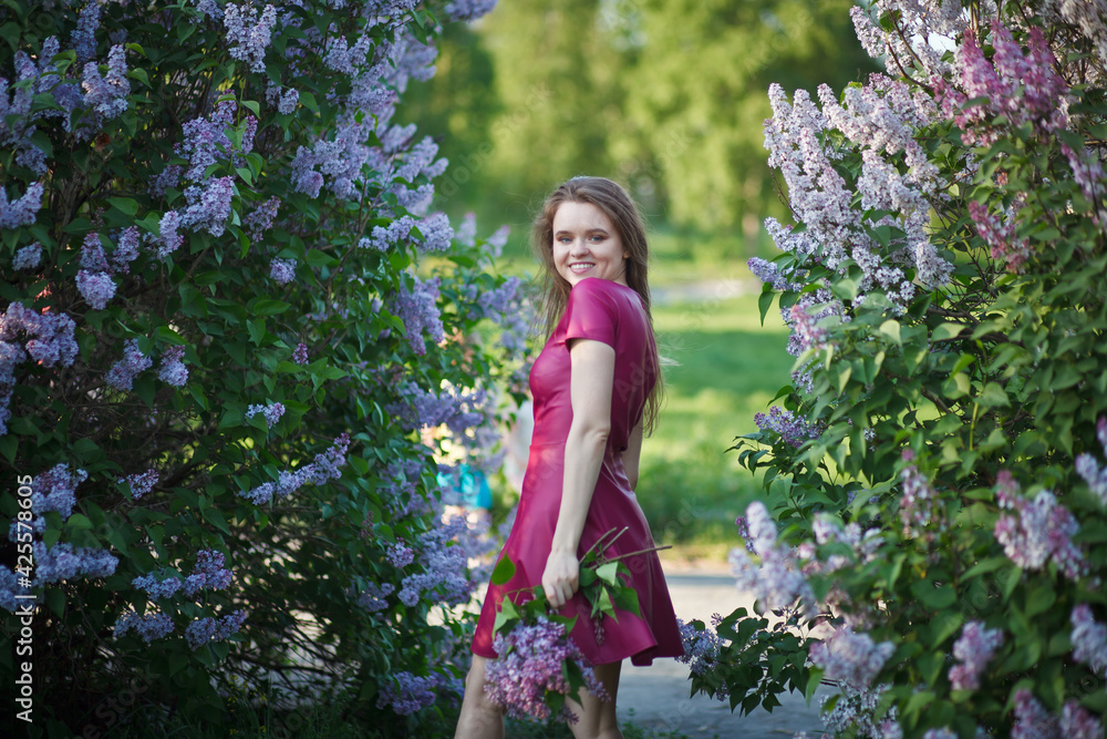 beautiful girl in a short purple dress walks in the lilac garden, leather dress, lilac bloom beautiful girl in a short purple dress walks in the lilac garden, leather dress, lilac bloom