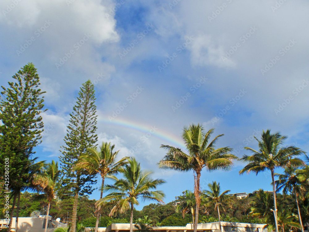 Rainbow over palm trees on Moreton Island, Brisbane, Queensland, Australia