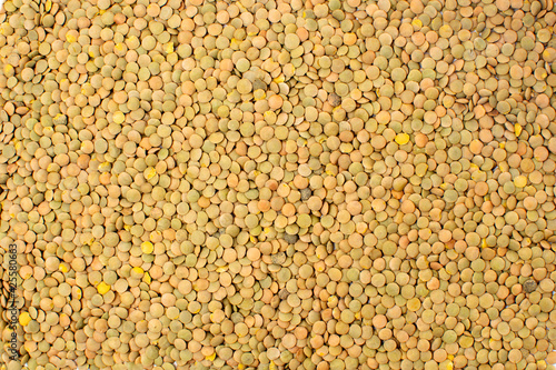 Lentil grains. Groats dry brown lentils. Organic food background. Healthy food, vegetarian uncooked cereal. Agricultural plant harvest