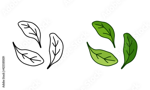 Single spinach leaves, doodle icons set. Linear and color version. Black simple illustration of ingredient for salad. Contour isolated vector pictogram on white background