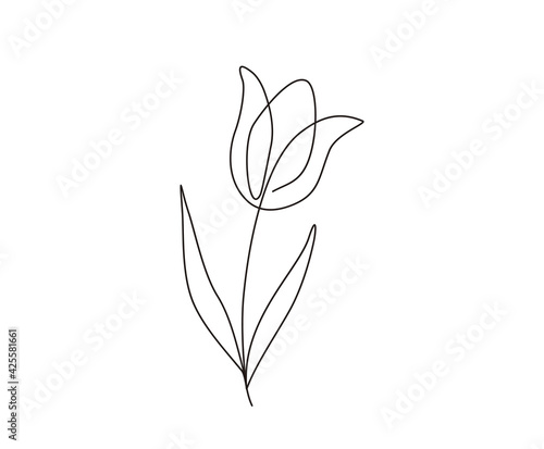 Tulip continuous line drawing art. Minimalist contour drawing.