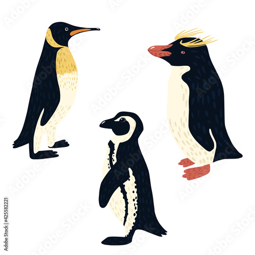 Set penguins isolated on white background. Different penguin: african, macaroni, emperor. Cute birds from arctic hand drawn style. Collection funny cartoon character.