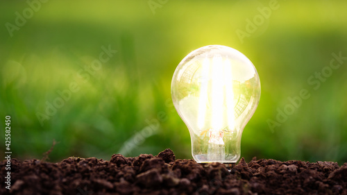 energy efficient led filament Lightbulb Glowing in ground with Grass on the background. planet's climat change and Green Energy Concept