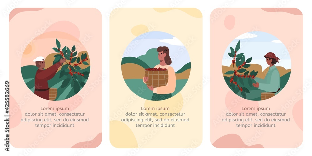 Cards or onboarding pages with farmers processing coffee vector illustration.