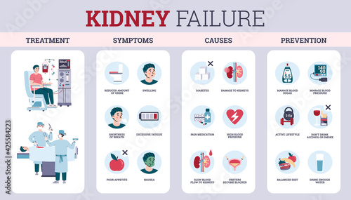 Inflammation of kidney failure symptoms and prevention flat vector illustration.