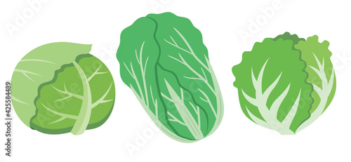 キャベツと白菜とレタスの葉物野菜セットのイラスト素材 