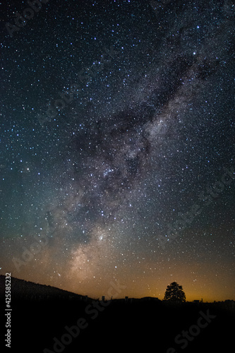 Milkyway in vineyard