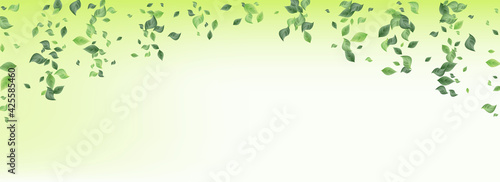 Swamp Leaves Flying Vector Green Background