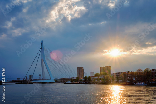Rotterdam skyline cityscape with Erasmusbrug bridge over Nieuwe Maas in contre-jur on sunse, Netherlands.