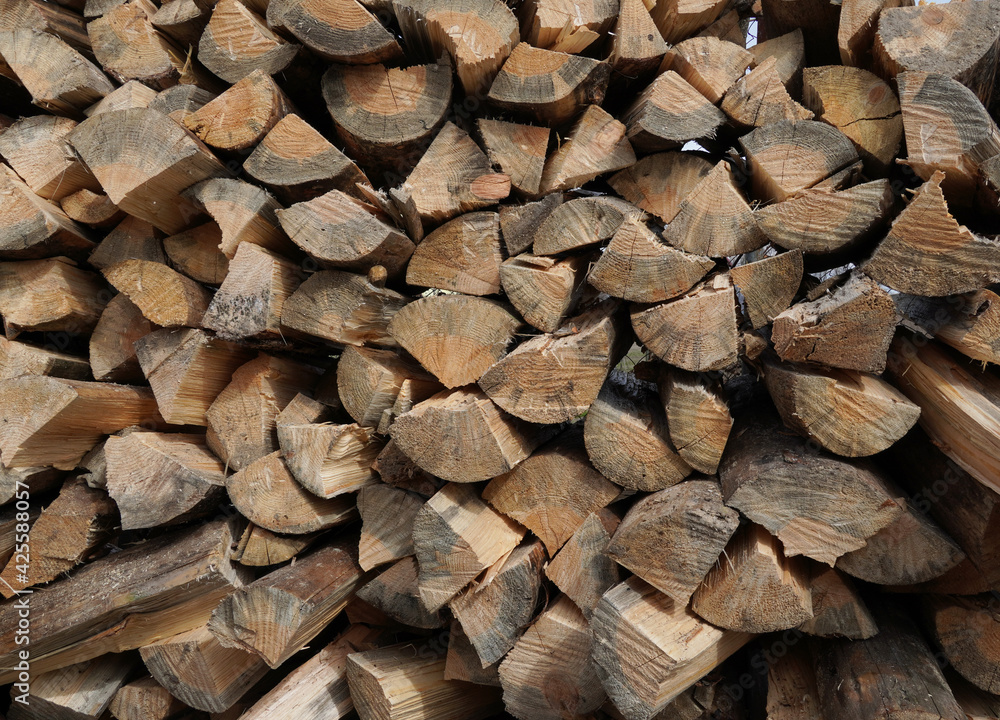 Big stack of cut pine tree logs, front view image