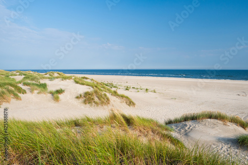 Fototapeta Naklejka Na Ścianę i Meble -  Beach view from the sand dunes