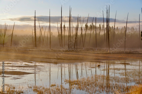 Yellowstone NP