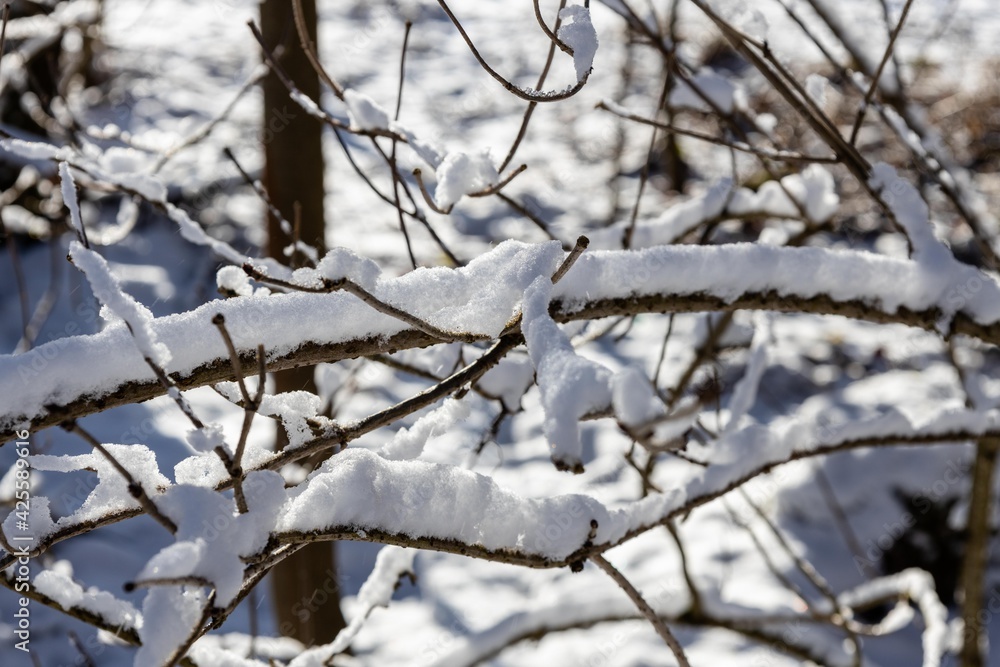 Winterlandschaft, Winter Wonderland, Winter, Schnee Winterlandschaft, Winter Wonderland, Winter, Schnee