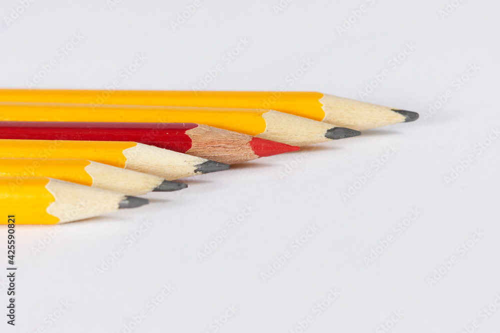 Stand out from the Crowd pencils with copy space Stand out from the Crowd pencils with copy space