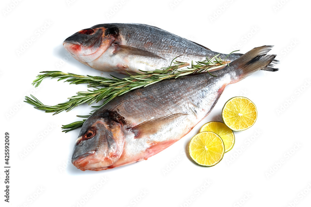 Fresh dorado isolated on white background Fresh dorado isolated on white background