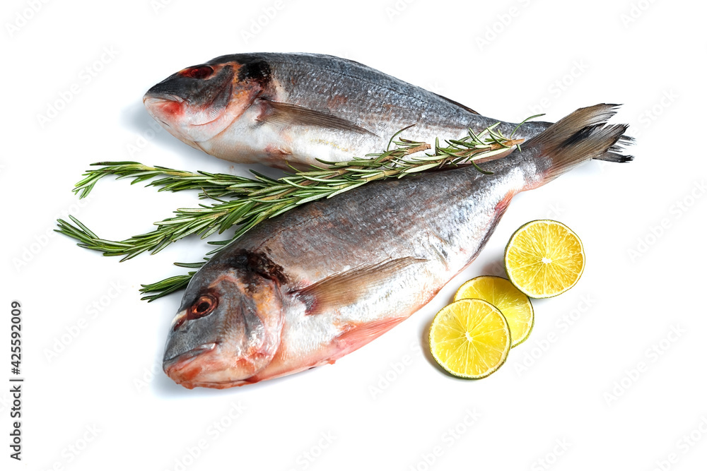 Fresh dorado isolated on white background