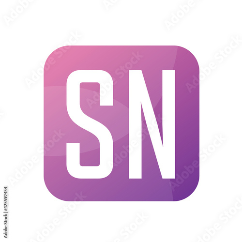 SN Letter Logo Design With Simple style