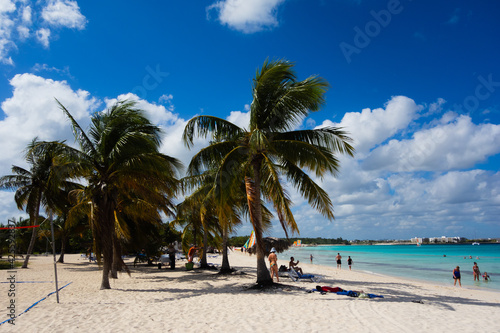 beach with yellow sand and coconut palm trees with blue sky and blue sea