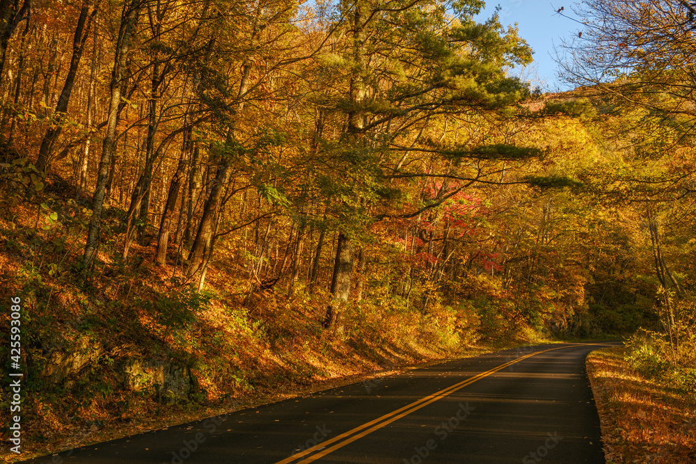 Blue Ridge Parkway in the Fall.