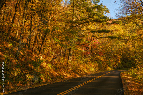 Blue Ridge Parkway in the Fall. © Vitor