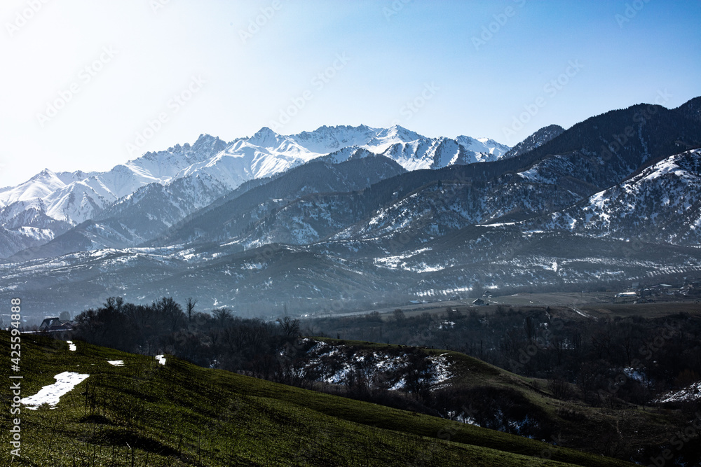 Fototapeta premium landscape with snow