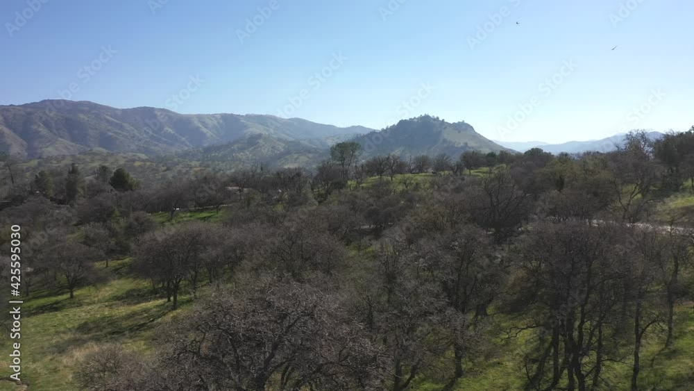 Buzzards circle the sky signaling death somewhere in the Tehachapi mountain landscape during Spring Buzzards circle the sky signaling death somewhere in the Tehachapi mountain landscape during Spring