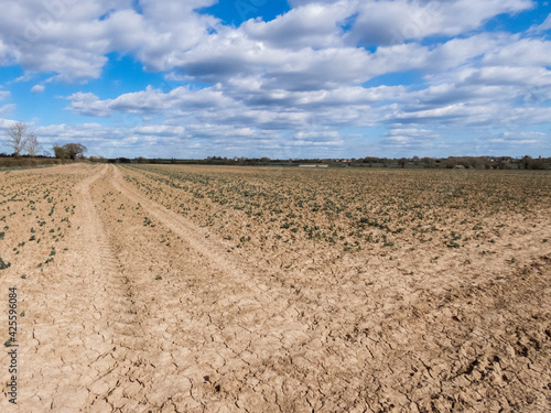 ploughed field in spring with tyre tracks