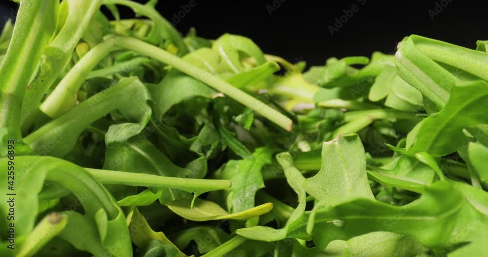 Fresh green salad macro with probe lens Fresh green salad macro with probe lens