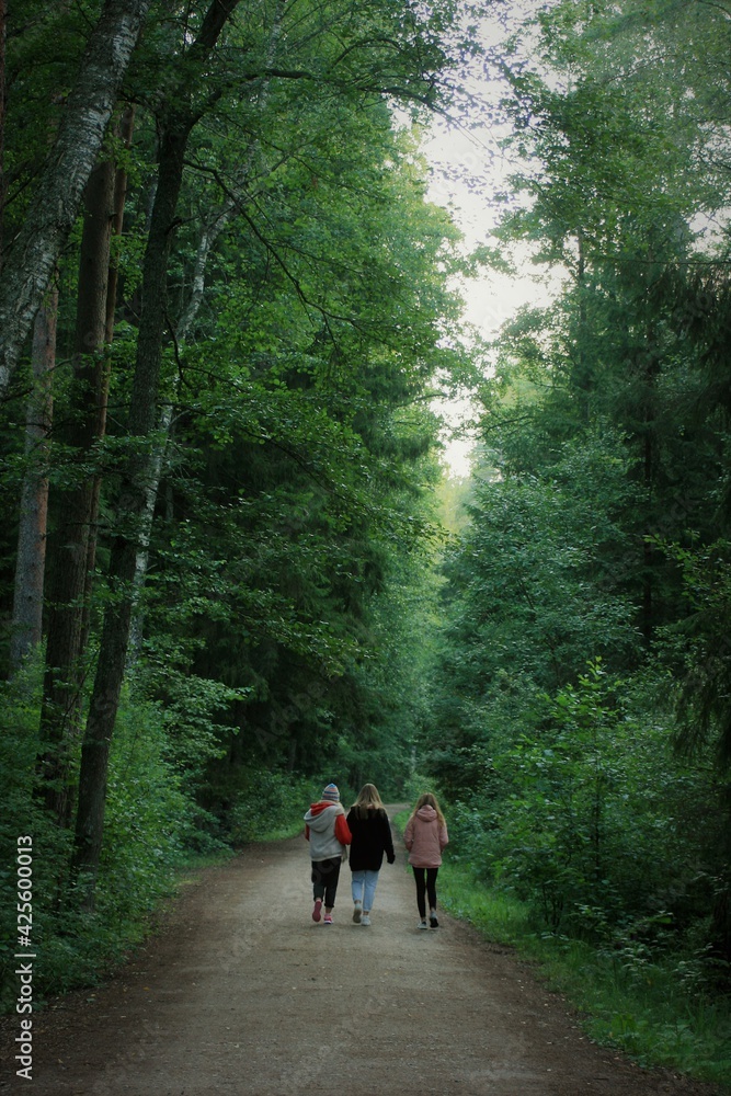 walk in the forest