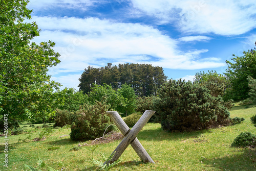 x shape outdoors letter, character x, roman number ten, made from  tree wood in the garden photo