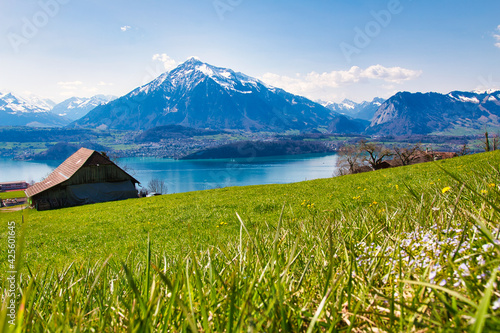 Thunersee lake Sigriswil Thun Thunersee aerial view of landscape with mountains in the background and grass meadow in the foreground