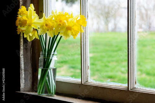 a bouquet of fresh daffodils on an old windowsill photo