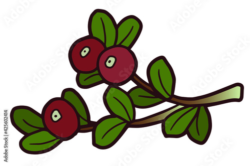 Wallpaper Mural Branch with berries. Lingonberry, cranberry. Botanical illustration. Torontodigital.ca