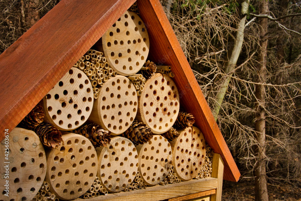 Obraz premium Dom dla owadów. Chrońmy Ziemię.