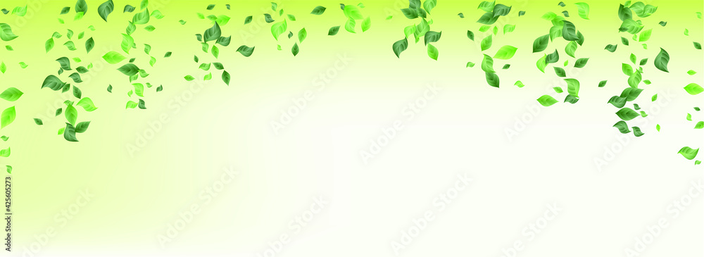Swamp Leaves Flying Vector Green Background Poster. Blur Foliage Template. Lime Leaf Forest Border. Greenery Swirl Design. Swamp Leaves Flying Vector Green Background Poster. Blur Foliage Template. Lime Leaf Forest Border. Greenery Swirl Design.