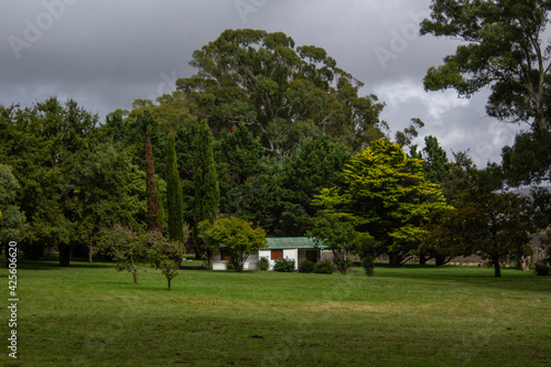 Paisaje en el campo.