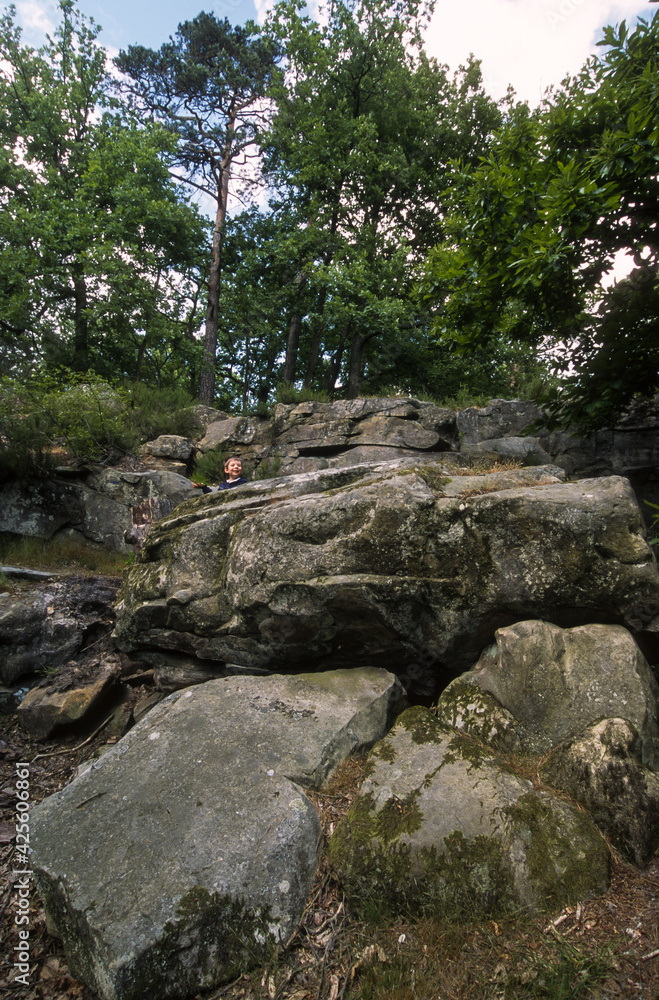 Rochers, Massif des 3 Pignons, Forêt de Fontainebleu, 77, Seine et Marne