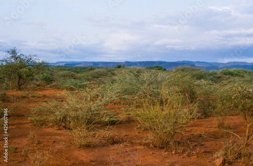 Parc national de Samburu, Kenya