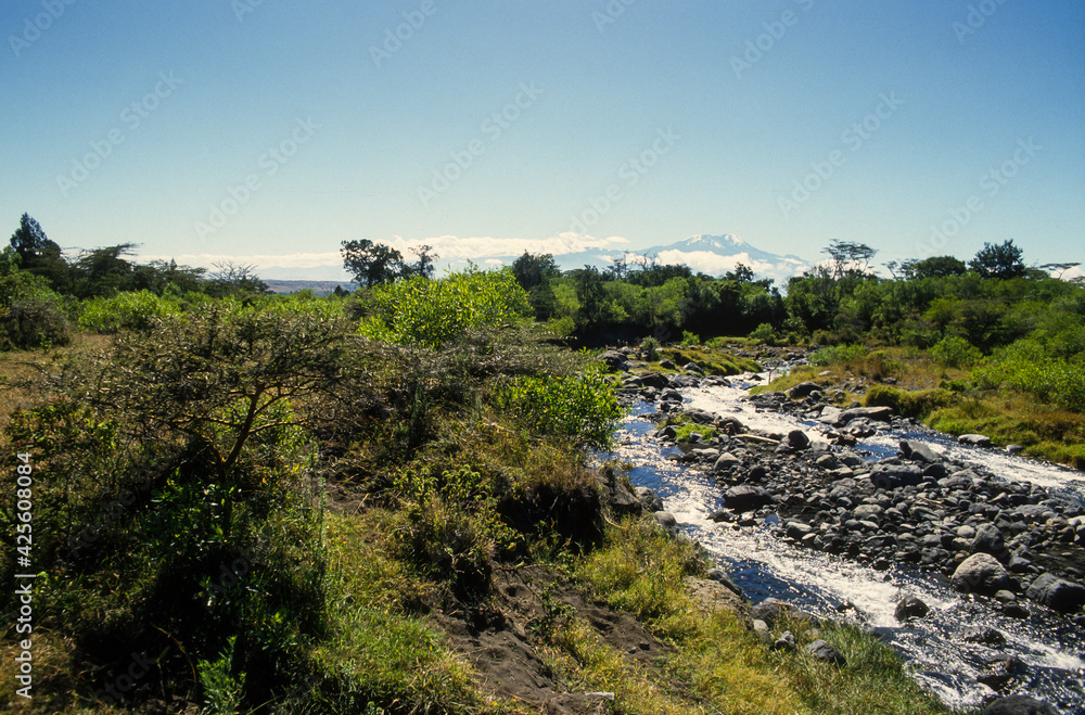 Volcan, Mont Kilimandjaro, Parc national d' Arusha, Tanzanie