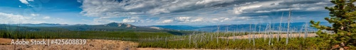 Panoramic view of forest fire damage and recovery from roadside in Yellowstone