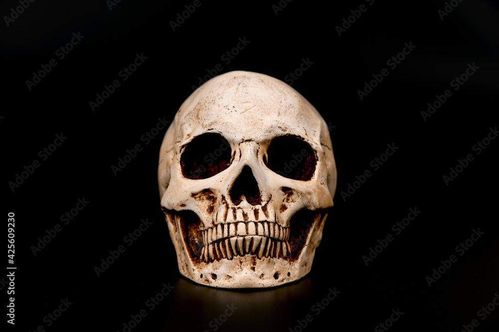 Skull on a black background. Skull on a black background.