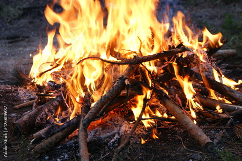  Fire. Bonfire. Fire. camping